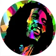 Slipmat Slip Mat Scratch Pad Felt for Any 12" LP DJ Vinyl Turntable Record Player Custom Graphical - Marley 1