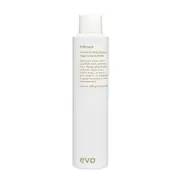 evo Helmut Extra Strong Lacquer