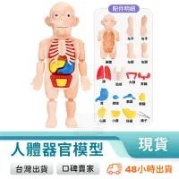 在飛比找蝦皮購物優惠-人體器官模型 模型玩具 人體構造 人體器官 人體構造模型 人