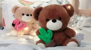 萌系仙人掌小熊毛絨玩具熊布娃娃可愛爪機公仔精致擺件熊玩偶