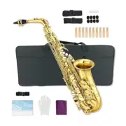 Alto Saxophone with Case, Mouthpiece,Straps, Reeds Sax Beginners Kit for Adults
