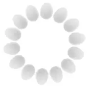 30pcs Fake Pigeon egg for Incubation and Breeding, Solid Plastic Simulation egg