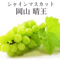 在飛比找森森購物網優惠-果物樂園-日本岡山晴王麝香葡萄1房禮盒(550-600g/串