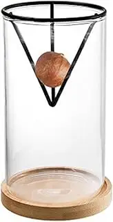 Avocado Tree Starter Rack, Avocado Tree Starter Vase, Starter Vase with Wooden Base, 3-Piece Avocado Tree Growing Set, Glass Plant Pot for Propagating Sprouts, Growing Vase for Gardening
