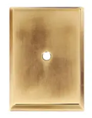 Alno A610-14-PA 1 1/4" x 1 7/8" Backplate Polished Antique
