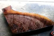 Curly Crotch feather figured black walnut gunstock guitar blank 2.25" thick 2131