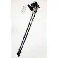 在飛比找蝦皮商城精選優惠-ISUN 宜山 台灣製造 超輕量航太鋁合金 兩節伸縮健走杖 