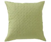 Bianca Vivid Coordinates Herbal Green Quilted European Pillowcase
