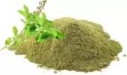 Tulsi Powder, Organic leaf Holy Basil Powder, Detoxifying/Antiseptic, 3.5 oz