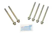 Engine Cylinder Head Bolt Set CRP 81050300