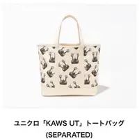 在飛比找蝦皮購物優惠-日本KAWS+UNIQLO UT最新聯名包包