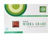 Goloka Mirra Arabe Essence of Ayurveda Masala Agarbatti Incense Sticks 12 pack