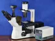 40-400x (w/10x eye) Infinity Phase Contrast Inverted Epi Fluorescence Microscope
