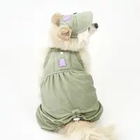 在飛比找蝦皮購物優惠-Puppy Gallery🇰🇷  果凍熊 夏季淡綠澎澎涼感衣