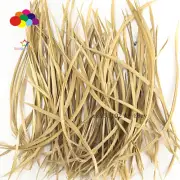 Goose Feathers 20-25cm 8-10 inch Carefully Crafted Smooth Dyed Khaki Biots Juju