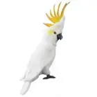 Citron Crested Cockatoo - Hansa Realistic Stuffed Plush Animal Soft Toy 34cm