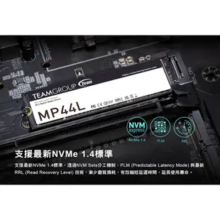 TEAM 十銓 MP44L M.2 PCIe Gen4x4 SSD 1TB 2TB 固態硬碟