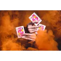在飛比找蝦皮購物優惠-[fun magic] Art Of Cardistry撲克