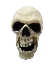 Home Accents Holiday 24GM53455 Animated Talking Skull OPEN BOX