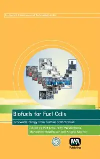 在飛比找博客來優惠-Biofuels for Fuel Cells: Renew