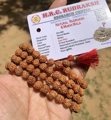 LAB CERTIFIED 6 Mukhi RUDRAKSHA Rudraksh Mala ROSARY 108+1 Bead Prayer Beads