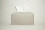 JADE AND JUNO HOME Tissue Box Cover/Holder (Rectangle) - Covers Rectangular Shaped Boxes with a Contemporary Finish - Designed with Modern PU Leather (Autumn Mist)
