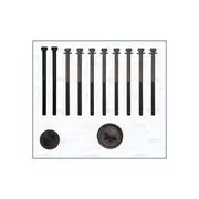 Austral Cylinder Head Bolt Set - 81041900