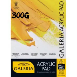 法國製 Winsor&Newton Galeria Acrylic Pad 壓克力畫本 油畫 無酸紙 300g 15張