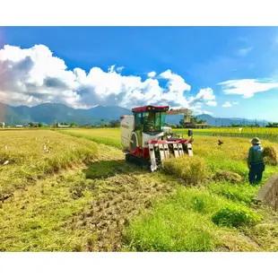 🌾2023宜蘭好稻新鮮芋香米收割🌾3公斤宜蘭三星白米、芋香米自產自銷小農生產