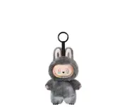 Gray Rare Labubu Picture