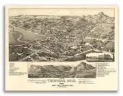 Bird's Eye View 1882 Trinidad Colorado Vintage Style City Map - 18x24