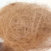 Coconut Husk Fiber Natural Growing Anthurium Orchids Organic plant FreeShipping
