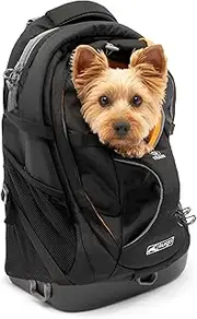 Kurgo Dog Carrier Backpack for Small Dogs And Cats G-Train Pet Backpack Carrier Airline Approved Cat Backpack Small Dog Backpack for Hiking And Travel Lightweight Waterproof Bottom, Black, One Size (K01683)