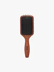 Pete Ionic Paddle Brush
