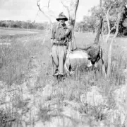 Kulkyne Victoria 1934 - A hunter with a dead swan which has been h- Old Photo