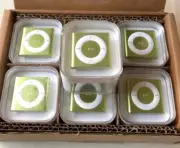 Apple iPod Shuffle 4th Gen 2GB Green With Box Battery Need Replacing (New)