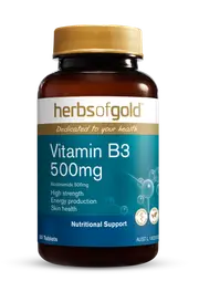 Vitamin B3 500mg