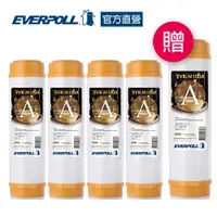 在飛比找蝦皮商城優惠-【EVERPOLL】一般標準型10吋道爾樹脂濾芯M100A 