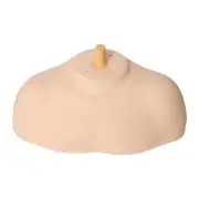 Shoulder Model Mannequin Head Stand Support for Training Hairdressers