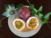 Passionfruit Panama Red Vine - Passiflora flavicarpa x