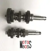 Mainshaft/Countershaft Hunter(Australia) Spyder Daytona Bobber LaroProStree 350