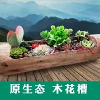 在飛比找蝦皮購物優惠-【工廠直發現貨】花盆 盆栽 木質花盆 盆栽容器  戶外花盆 