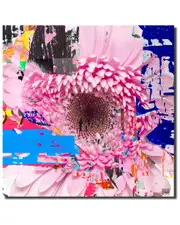 Ready2HangArt Painted Petals LXXV Wrapped Canvas Wall Art by Tristan Scott