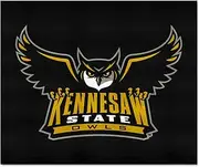 FANMATS NCAA Tailgater Mat