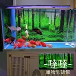 魚缸背景貼紙 水族箱貼紙 魚缸防水自粘紙 魚缸背景畫 水族箱壁紙 魚缸背景貼紙5D造景背景畫3D立體水族箱壁紙圖裝飾免膠