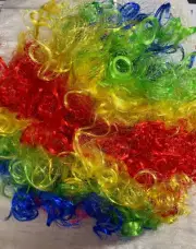 Clown Wig Halloween Rainbow Party Costume Curly Hair Unisex One Size