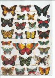 German Embossed SILVER GLITTER Scrap Die Cut - Bold Colored Butterfly EF7324G