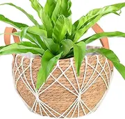 Woven Basket for Plant, Multipurpose Rattan Planter Indoor Plant Basket, Planter Basket Rattan Plant Pot with Handle for Plants Flowers