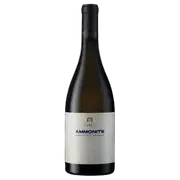 2021 Gaia Ammonite Assyrtiko - Buy Online | The Wine Collective Marketplace