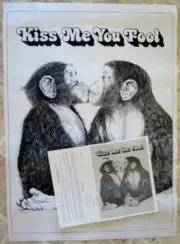 TRI-CHEM Liquid Embroidery #8183 "Kiss Me You Fool" w/ Instructions